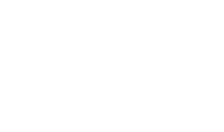 Logo FLG Corretora - White